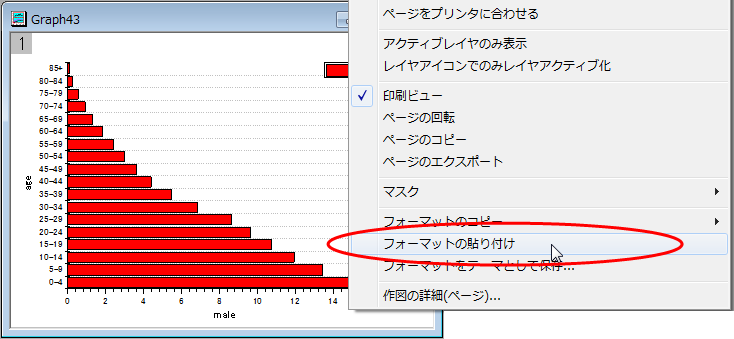 フォーマットの貼り付け