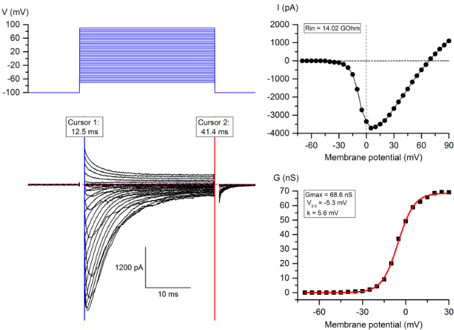 Simple pCLAMP Analyse